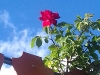 20180602_190959