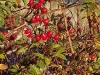 img-20181011-wa0003